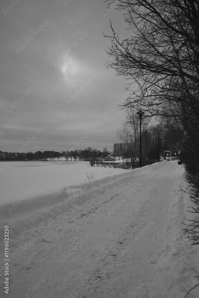 Sherbrooke 14 Janvier 2025 - N&B