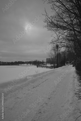 Obraz na płótnie Sherbrooke 14 Janvier 2025 - N&B w salonie