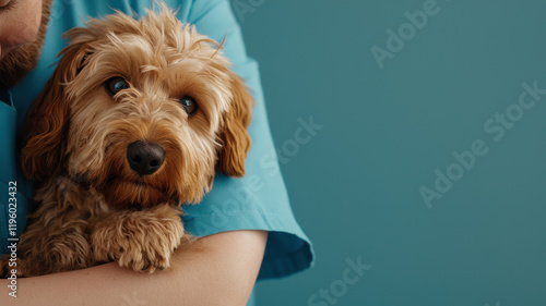 Caring veterinarian staff holding rescued dog with love and warmth, World spay day concept