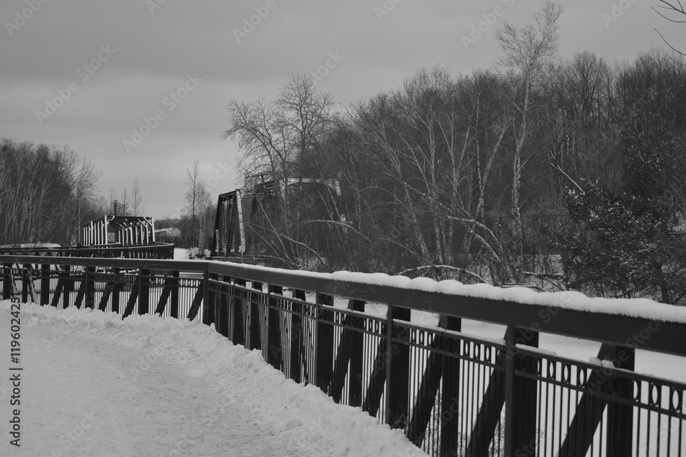 Sherbrooke 14 Janvier 2025 - N&B