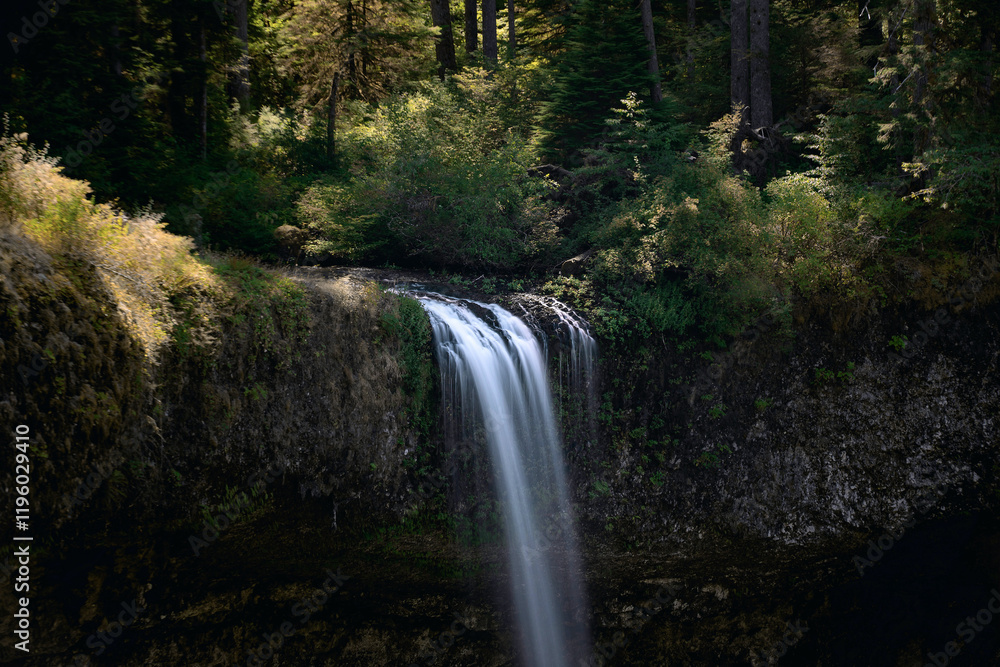 Obraz premium waterfall in the forest