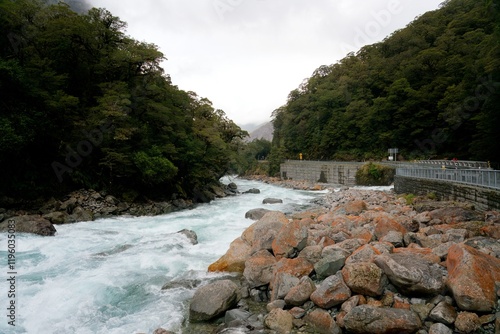 Hollyford River / Whakatipu Kā Tuka Scenic View
 photo