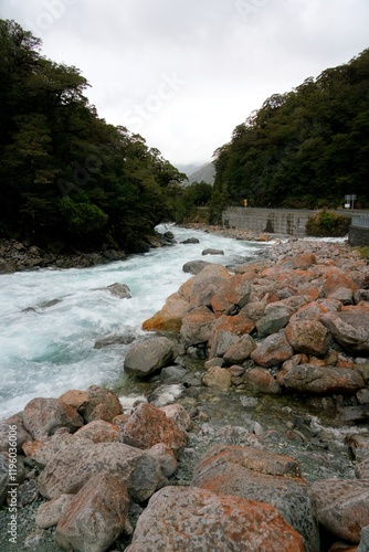 Hollyford River / Whakatipu Kā Tuka Scenic View
 photo