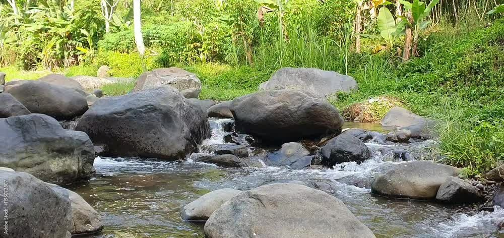 The Beautiful Country River is Also Refreshing: A Perfect Nature Retreat The Beautiful Country River is Also Refreshing: A Perfect Nature Retreat
