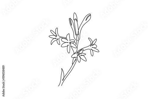 Bild auf Leinwand Single continuous line drawing beauty fresh polianthes tuberosa for home decor art wall poster