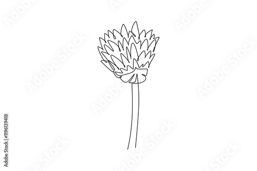 Continuous one line drawing of beauty fresh allium tuberosum for garden logo. Decorative chives flower concept for home wall decor art poster print. Single line draw design vector graphic illustration