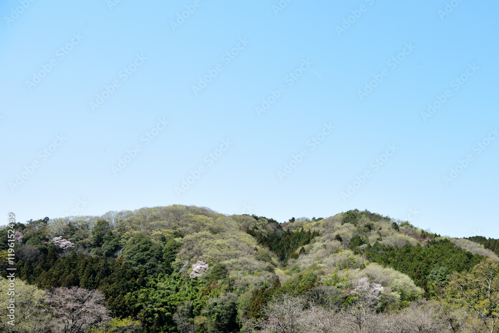 Fototapeta premium 青い空と山