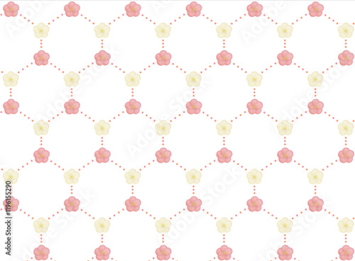 白とピンクの梅の花が点線で繋がって六角形の形になった小さい模様