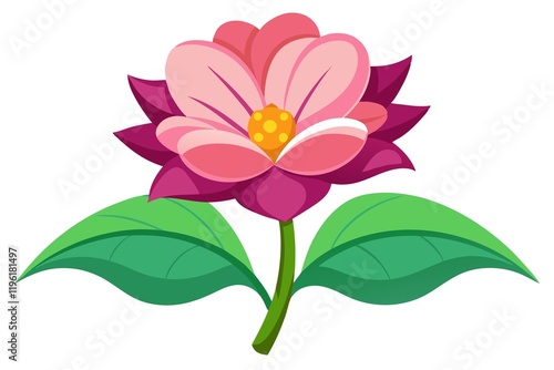 pink flower isolated on white background