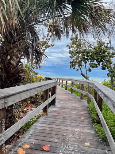 Scenic wooden pathway through lush tropical foliage
