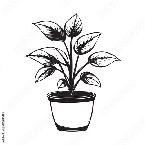 House Plant  Images Vector. Plant houseplant leaf freshness vector image on white background.