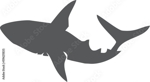 Shark silhouette flat illustration on isolated background