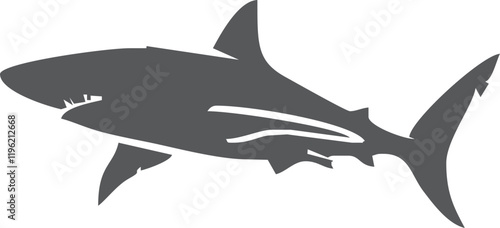 Shark silhouette flat illustration on isolated background