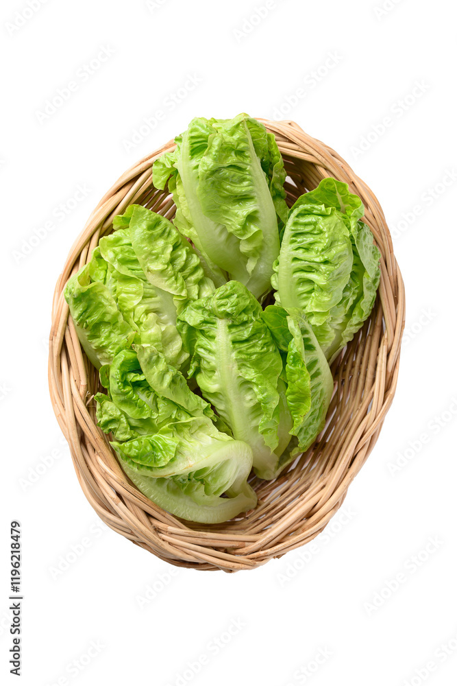 Baby cos lettuce romaine in basket, Fresh vegetables, Top view Baby cos lettuce romaine in basket, Fresh vegetables, Top view