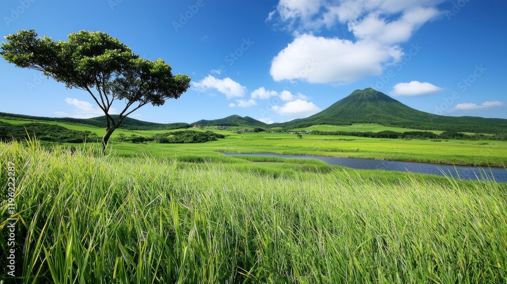 Fototapeta premium Serene Green Field Landscape