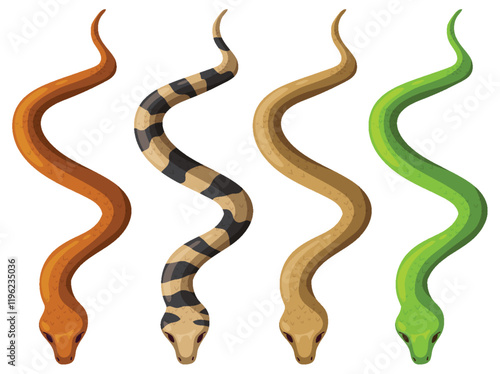 Colorful Snakes in Vector Illustration