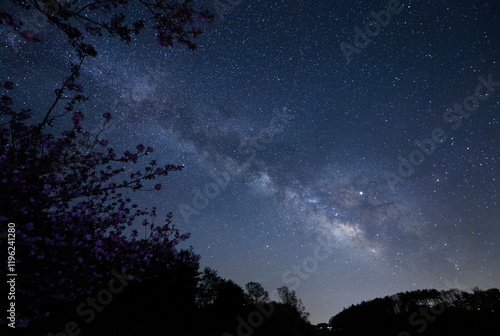 Obraz na płótnie 春が近づく森の先に輝く天の川と能登の星空 w salonie