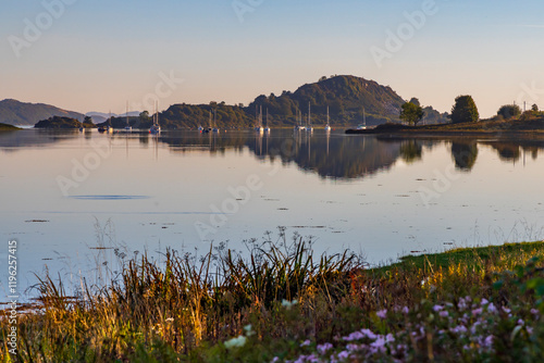 Obraz na płótnie Scotland, Ardfern, Loch Craignish. Sailboats at anchor near the marina. w salonie