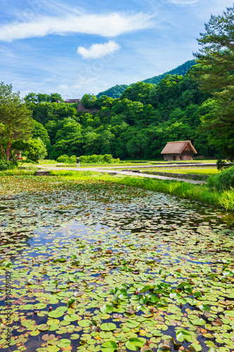 Obraz na płótnie 日本の原風景 春の白川郷 w salonie