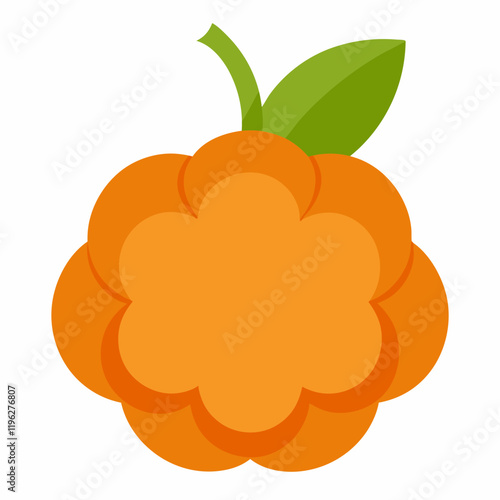 vector illustration of an cloudberry