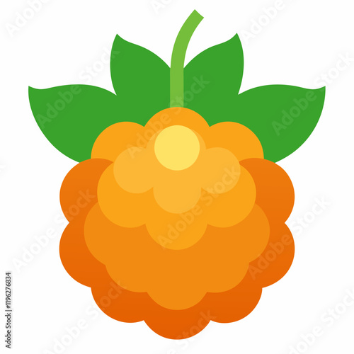 vector illustration of an cloudberry