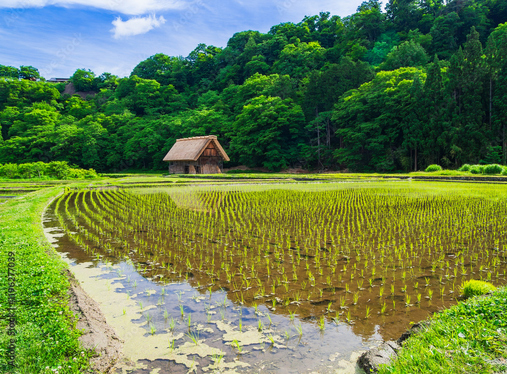 日本の原風景 春の白川郷