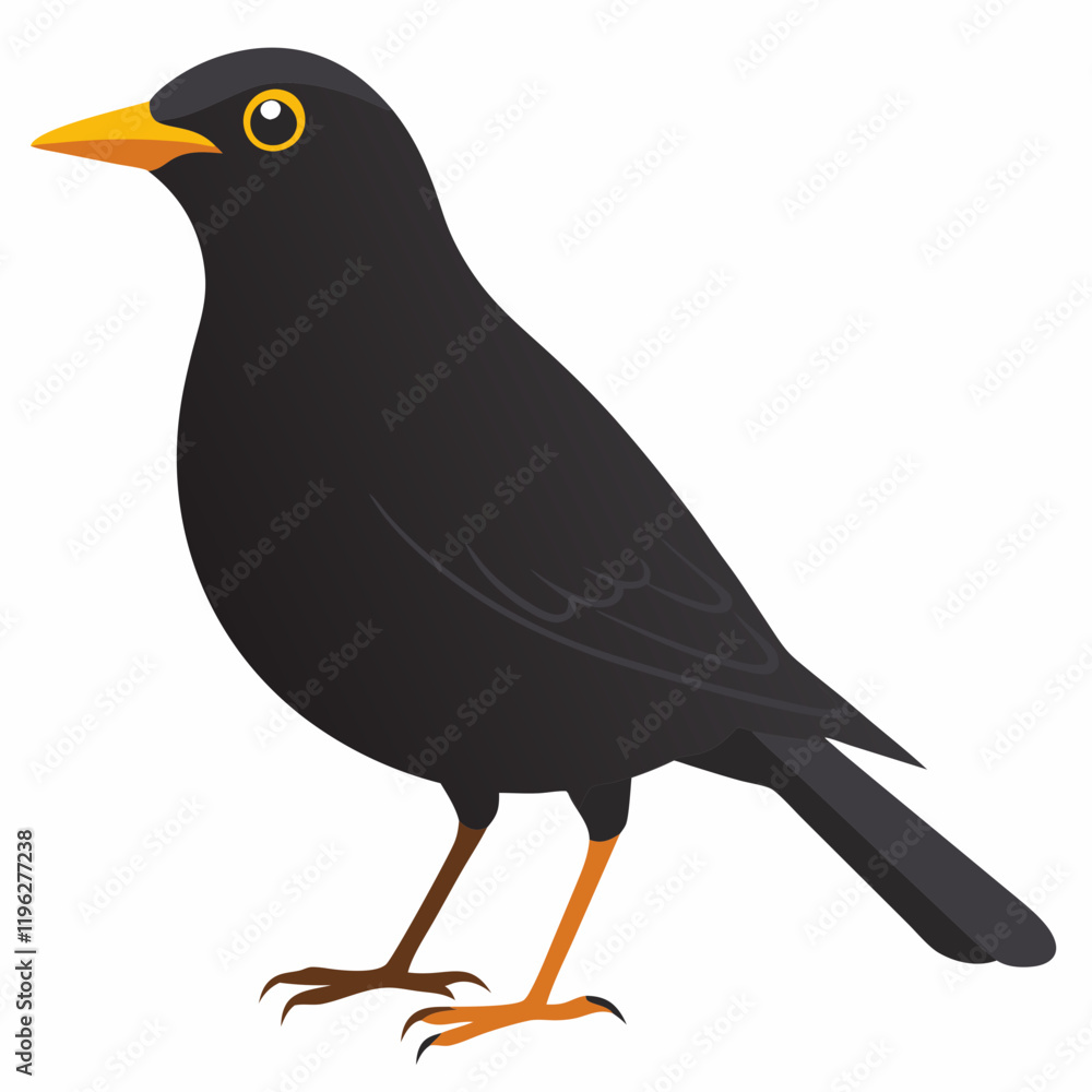 Obraz premium common blackbird on a white background
