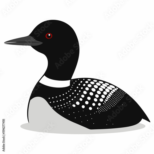 vector illustration of a common loon