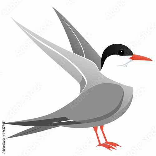 vector illustration of an common tern bird