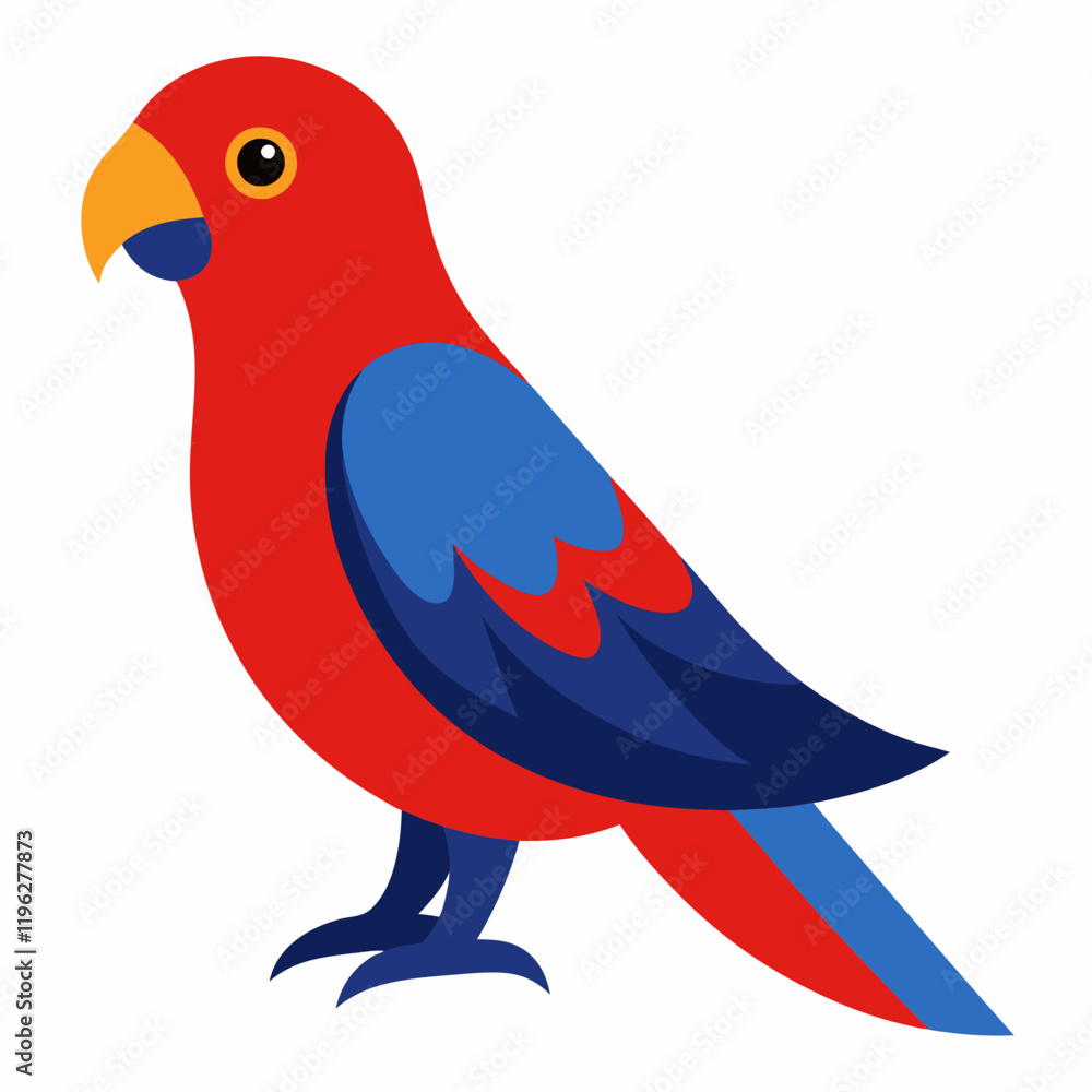 Fototapeta premium vector illustration of a crimson rosella bird