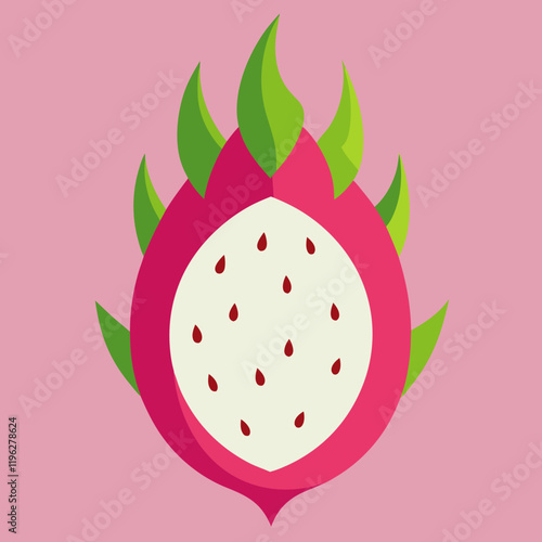 dragonfruit vector illustration