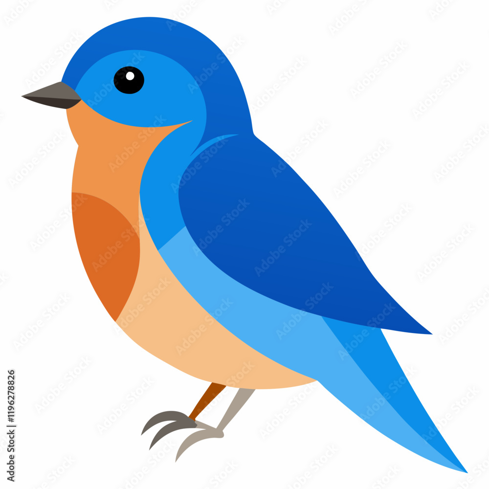 Obraz premium eastern blue bird vector illustratio