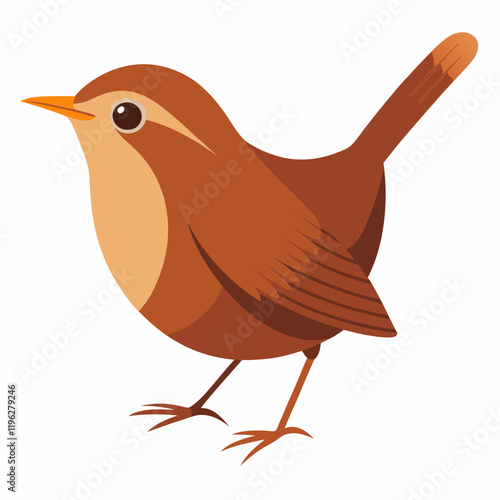 eurasian wren bird on a white background