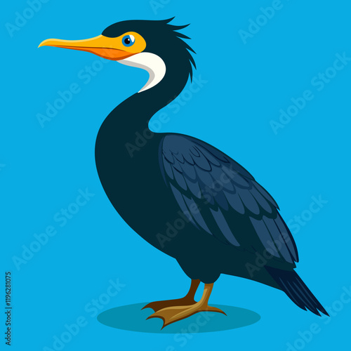 great cormorant vector illustration