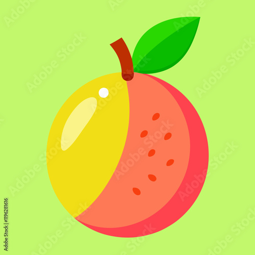 vector illustration of an hala fruit