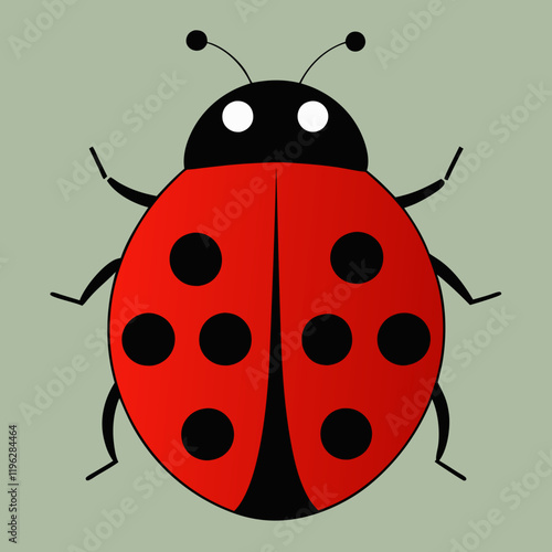 vector illustration of a ladybug