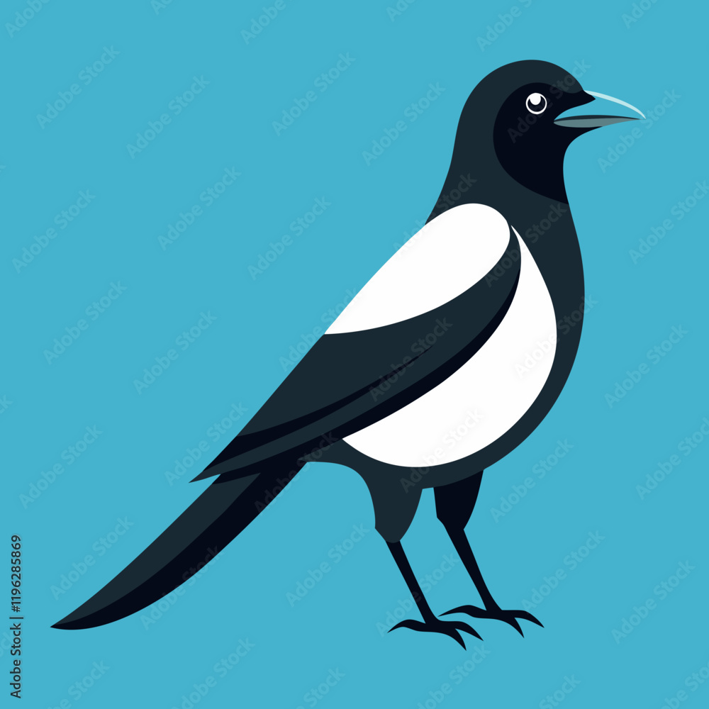 Fototapeta premium vector illustration of a magpie