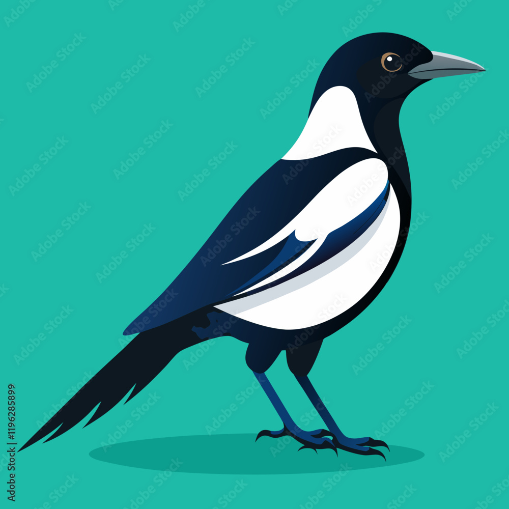 Fototapeta premium vector illustration of a magpie