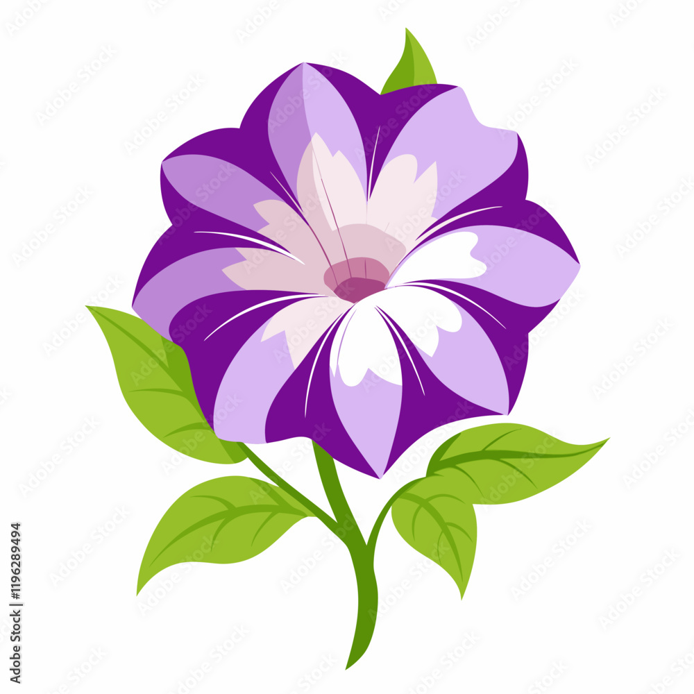 Obraz premium petunia flower vector