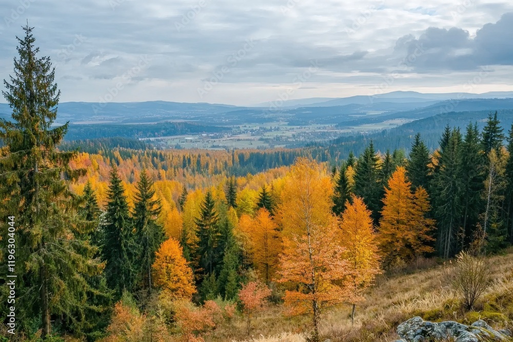 Aerial view of a scenic autumn forest with vibrant orange and yellow foliage, great for seasonal campaigns