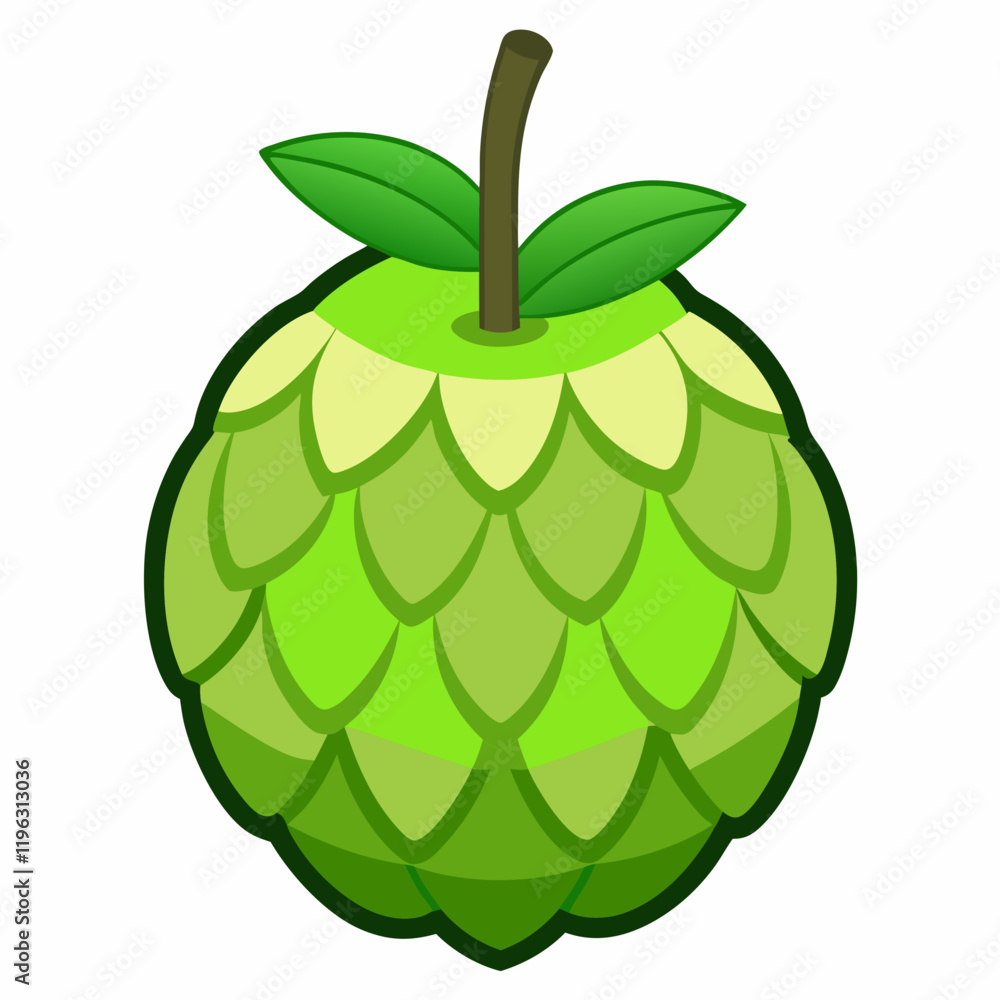 vector illustration of an custard apple vector illustration of an custard apple