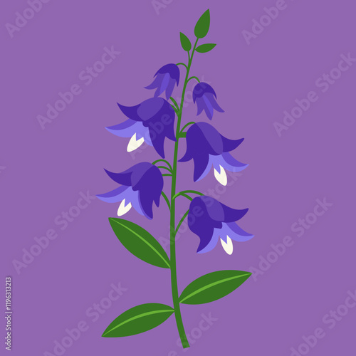 delphinium flower vector illustration