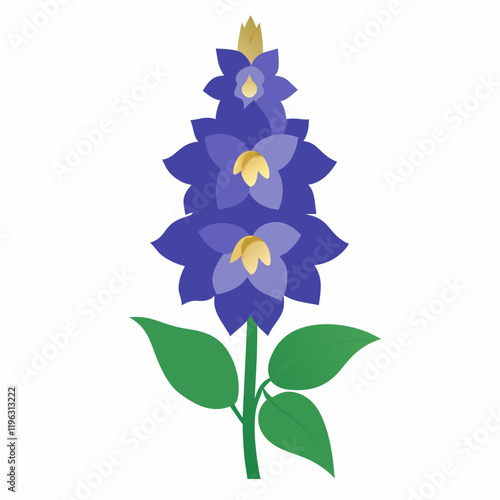 delphinium flower vector illustration
