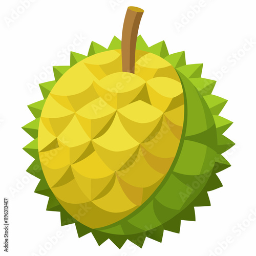 vector illustration of an durian