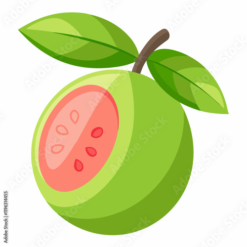 vector illustration of an guava