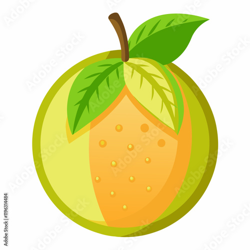 vector illustration of an hala fruit