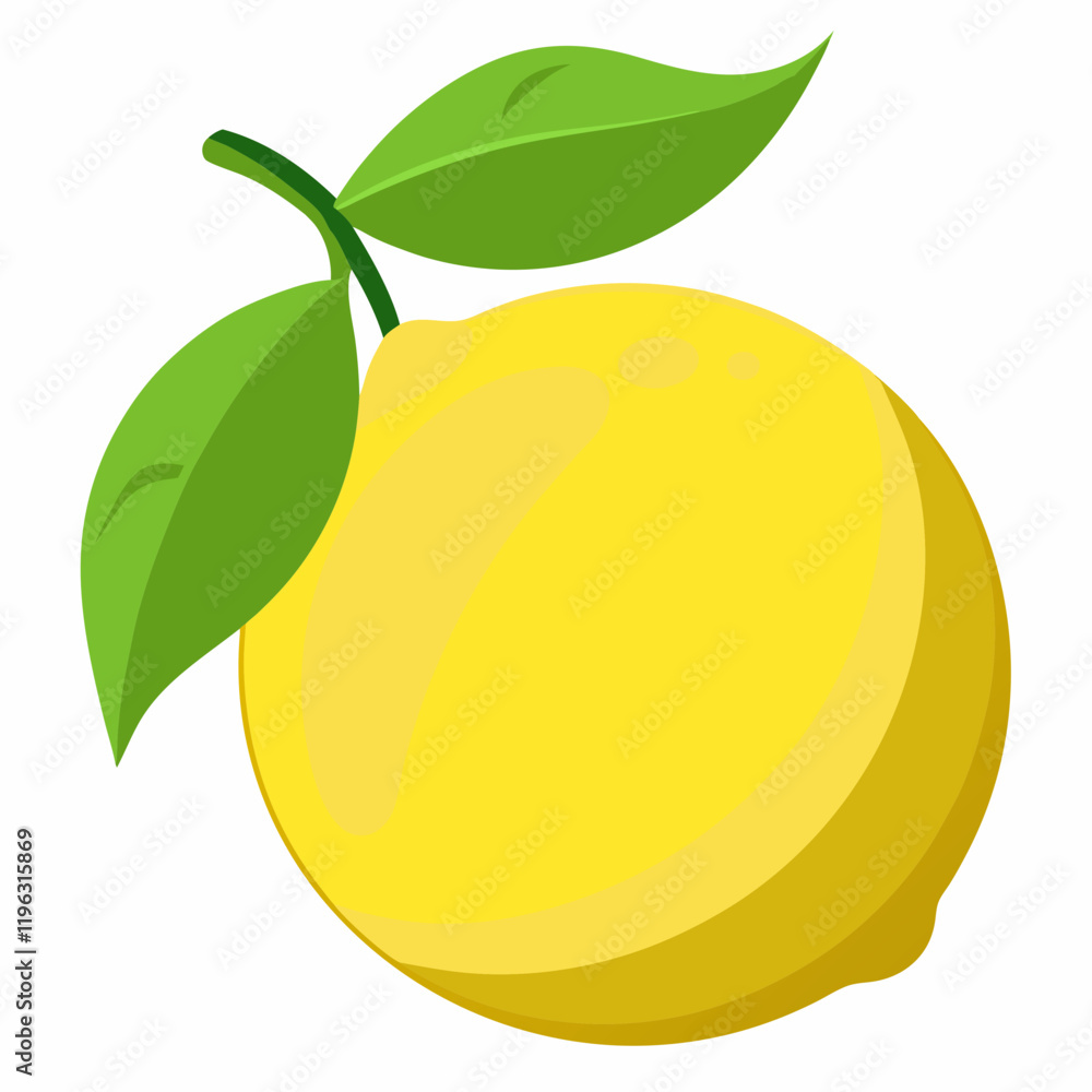 vector illustration of an lemon fruit vector illustration of an lemon fruit