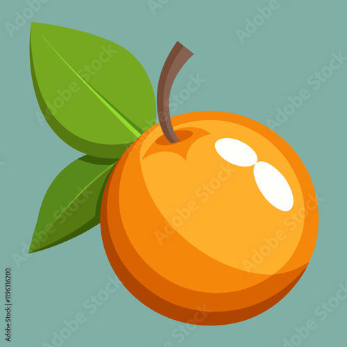 vector illustration of an loquat fruit