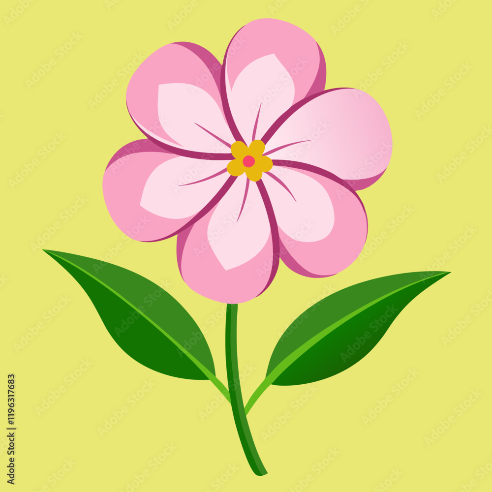 phlox flower background phlox flower background