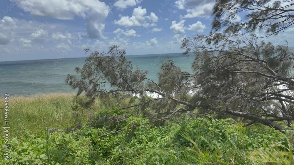 View of the Pacific Ocean with green vegetation and trees from a lookout in Australia View of the Pacific Ocean with green vegetation and trees from a lookout in Australia